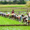 tamil-nadu