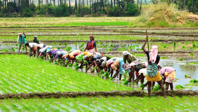 tamil-nadu
