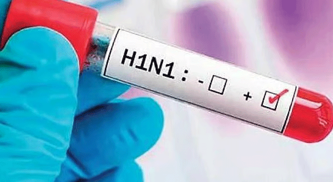 h1n1