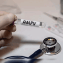 hmpv