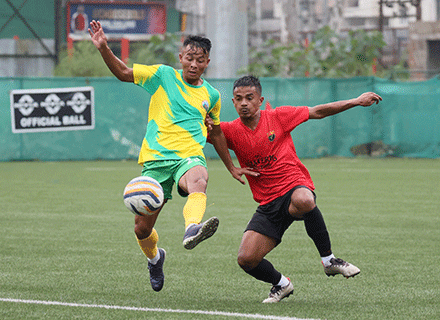 mlp