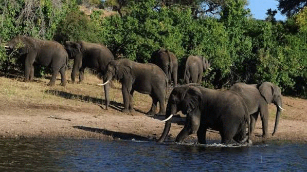 botswana
