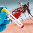 dengue