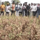 maharashtra
