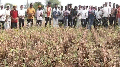 maharashtra